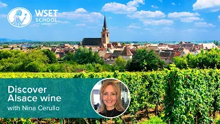 Discover Alsace wine with Nina Cerullo