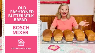 Whole Wheat Buttermilk Bread with Your  Bosch Mixer