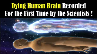 What Does the Brain Think Right Before Death- What Happens Just Before Death- Dying Human Brain Scan