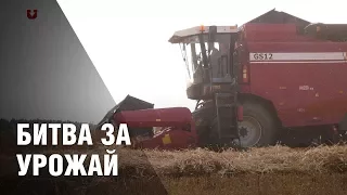 "Немец" против "белоруса": битва за урожай