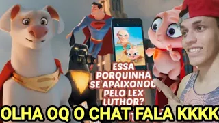 REACT COMO A LIGA DA JUSTIÇA PERDEU PARA ESSES HAMSTERS?