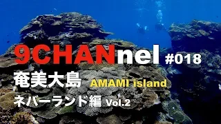 9CHANnel #018 奄美大島 ネバーランド編 Vol.2 / Amami Island, Kagoshima. 【スキューバダイビング番組】