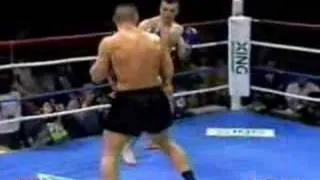 Mirko Cro Cop Filipovic vs Jerome LeBanner