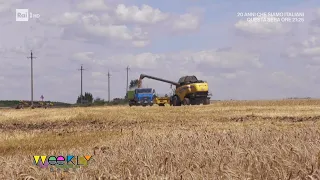 Grano, stop agli accordi Russia-Ucraina - Weekly 22/07/2023