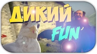 CS:GO- Чайка | DIkiy FUN