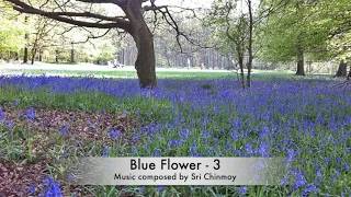 Blue Flower 3 - Meditative music