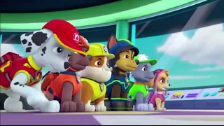 Paw Patrol - saludo de cumpleaños