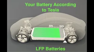 Tesla LFP Batteries