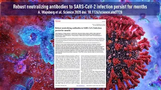 COVID-19: Studie findet robuste Antikörperantwort über mindestens 5 Monate