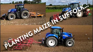 4Kᵁᴴᴰ May 2024: New Shoots preparing & planting maize. New Holland, Simba Great Plains, Kongskilde