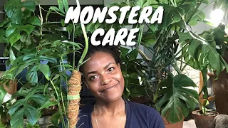 My Monstera Collection | How to Care for Monsteras | Plant Care Tips and Maintenance