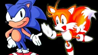 Satam Sonic & Tails in Sonic 3 A.I.R