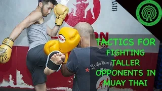 Muay Thai Fighting Taller Opponents - Countering the Body Kick