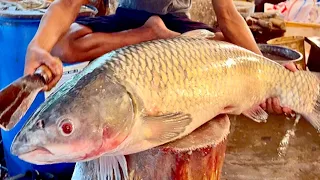 You Never Seen!! Giant Carp Fish Cutting Live In Bangladesh Fish Market