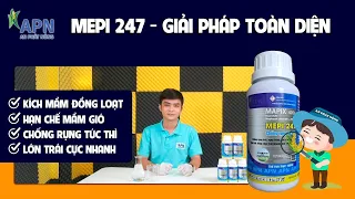 APN - MEPI 247 GIẢI PHÁP MỚI CHO MÙA SẦU RIÊNG 2023| TẠO MẦM ĐỒNG LOẠT - CHỐNG RỤNG TỨC THÌ