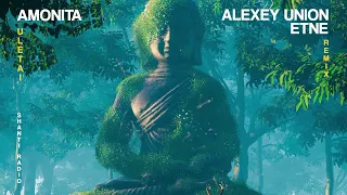 Amonita - Uletai (Alexey Union & Etne Remix)