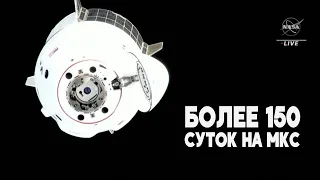 Crew Dragon с россиянкой Анной Кикиной на борту возвращается на Землю