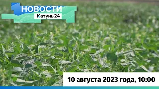 Новости Алтайского края 10 августа 2023 года, выпуск в 10:00