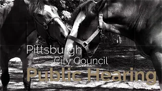 Pittsburgh City Council Public Hearing (1:30pm) - 7/12/22
