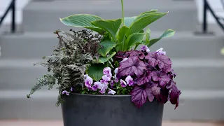 Planting a Part-Shade Container for Our Front Porch! 🌿💚// Garden Answer