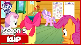Liga Zaprasza Daimond tiare | My Little Pony | Sezon 5 |Odcinek 18|Poszukiwacze Zaginionych Znaczków