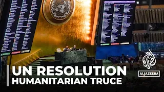 UN resolution passes: Resolution calls for humanitarian truce