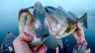 Big Bass Can't Resist The Rat Lure!