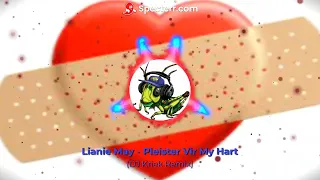 Lianie May - Pleister Vir My Hart (DJ Kriek Remix)