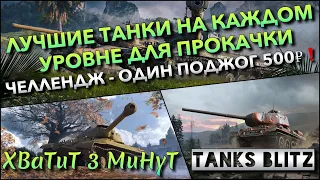 🔴Tanks Blitz ЛУЧШИЕ ТАНКИ НА КАЖДОМ УРОВНЕ ДЛЯ ПРОКАЧКИ🔥 ЧЕЛЛЕНДЖ - ОДИН ПОДЖОГ 500₽❗️