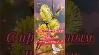 С ВЕРБНЫМ ВОСКРЕСЕНЬЕМ!!!