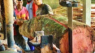 Dramatic!!! Sawmill Operators Struggle With Curved Wood..