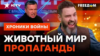 "К*нченые тв@ри!" У СОЛОВЬЕВА сильно "ПОДГОРЕЛО" ИЗ-ЗА… @skalpel_ictv