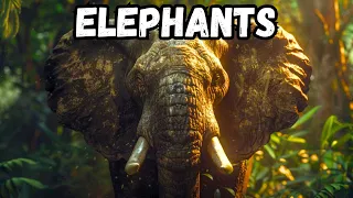 Fascinating Facts About ELEPHANTS