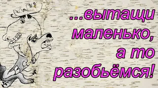 Смешные анекдоты про волка, лося, Вовочку и АвтоВАЗ