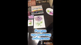 ✅Прямая трансляция✅ ✍ Рисуем хризантему акварелью