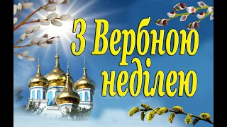 Привітання з Вербною неділею 2024. Вітання зі святом. Вербна неділя 2024рік.