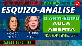 Revolução Molecular: Esquizo-Análise: O Anti-Édipo - Aula Aberta - Programa Especial #80