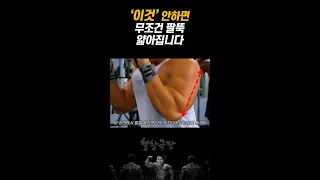 '이것' 안하면 무조건 팔뚝 가늘어집니다