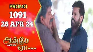 Anbe Vaa Promo 1091 | 26/4/24 | Review | Anbe Vaa serial promo | Anbe Vaa 1091
