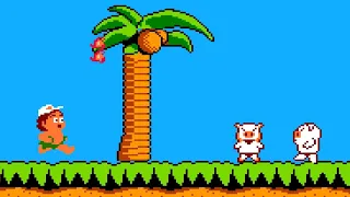 Hudson’s Adventure Island (NES) Playthrough