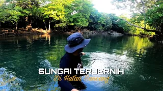 Ditemukan Sungai Super Jernih di Leweung Sancang || Eksplor Pangaduan Hayam