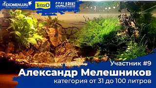 Аквариум 69 л. Участник №9 в категории от 31 до 100 литра #Scalariki​ Aquascaping Contest 2021