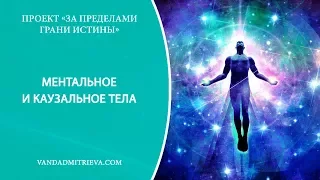 Регрессия. Исследование темы: Ментальное и каузальное тела [ ПРОЕКТ ]