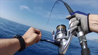 Shore jigging tuna strike🎣💪🏻