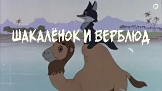 "Шакаленок и верблюд" Союзмультфильм, 1956 г. Советский мультфильм для детей