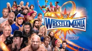 Goldberg vs Brock Lesnar WWE Wrestlemania 33 Full Match WWE