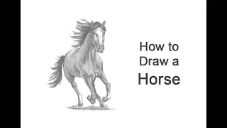 How to Draw a Horse Running (Front View)