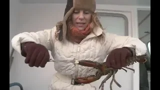 Lobster Fishing; Cold Canadian waters