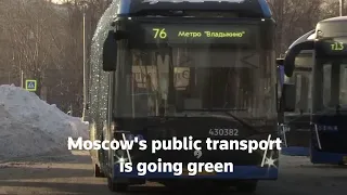 Moscow eyes fully electric bus fleet by 2030