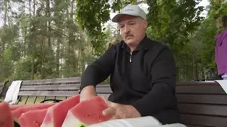 Лукашенко собрал картошку с белорусскими «нотками»